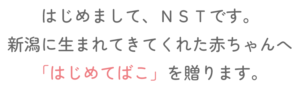 はじめまして、NSTです。新潟に生まれてきてくれた赤ちゃんへ「はじめてばこ」を贈ります。