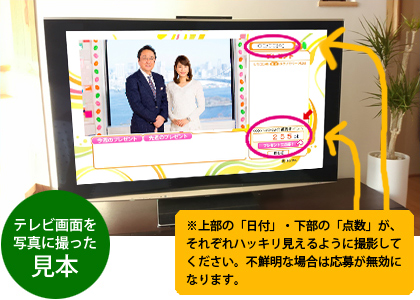 テレビ画面を写真に撮った見本