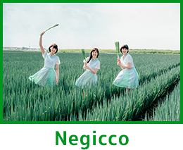 negicco