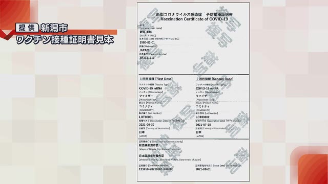 新潟市などでワクチンパスポートの申請受け付け始まる 新潟 県内ニュース Nst新潟総合テレビ