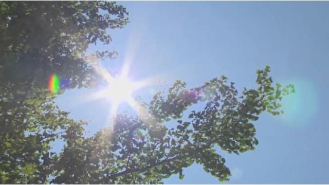 速報 新潟市秋葉区 新津 で最高気温39 2 全国一の暑さに 県内ニュース Nst新潟総合テレビ 速報 新潟市秋葉区 新津 で最高気温39 2 全国一の暑さに 県内ニュース Nst新潟総合テレビ