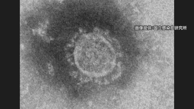 続報 長岡市11人 五泉市7人など 県が新潟市以外58人の内訳発表 新型コロナ 県内ニュース Nst新潟総合テレビ 続報 長岡市11人 五泉市7人など 県が新潟市以外58人の内訳発表 新型コロナ 県内ニュース Nst新潟総合テレビ