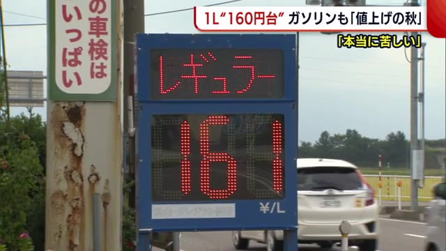 だいぶ高い ガソリン 160円台 に消費者もスタンドも悲鳴 値上げの秋ここにも 新潟 県内ニュース Nst新潟総合テレビ だいぶ高い ガソリン 160円台 に消費者もスタンドも悲鳴 値上げの秋ここにも 新潟 県内ニュース Nst新潟総合テレビ