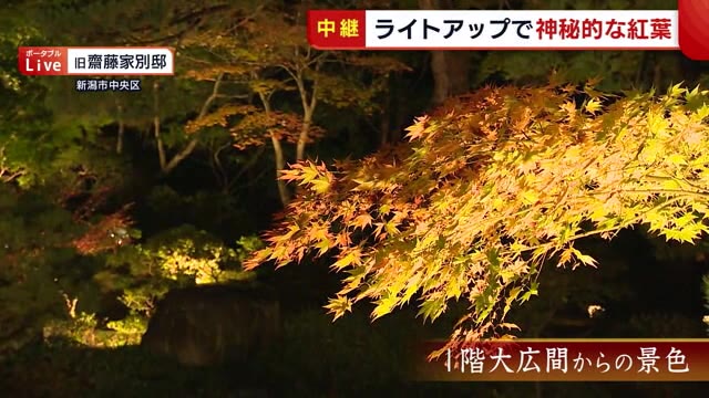 名勝で楽しむ 紅葉 ライトアップされた庭園は神秘的な雰囲気に 旧齋藤家別邸 新潟市中央区 県内ニュース Nst新潟総合テレビ