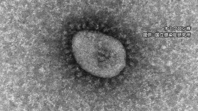 速報 新型 コロナ ウイルス 感染 ＜速報＞福島県内５２３人感染確認 新型コロナ（３日発表）（福島民報）
